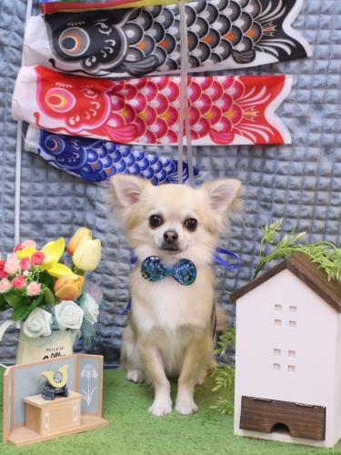 20230521とわくん